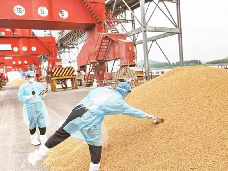 China shifts soybean imports to Brazil amid escalating US-China trade tensions.