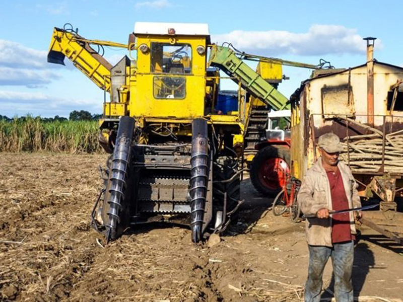 Brazil begins its 2025/26 sugarcane crushing season with an expected output of 42 million tons, continuing steady recovery and growth in the sugar industry.